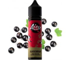 Příchuť ZAP! Juice S&V AISU 10ml Blackcurrant