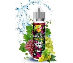 Příchuť Chill Pill S&V 12ml Mind Blaster